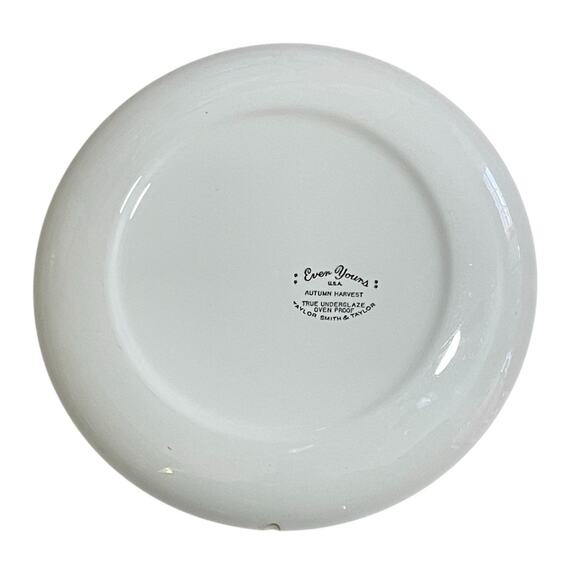 Vintage Taylor Smith & Taylor Autumn Harvest 10" Ceramic Dinner Plate MCM - Picture 5 of 8
